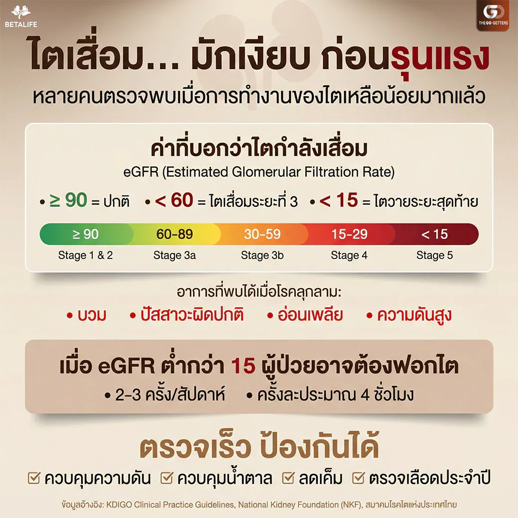 อินโฟกราฟิก ความรู้เรื่องค่า eGFR การทำงานของไต
