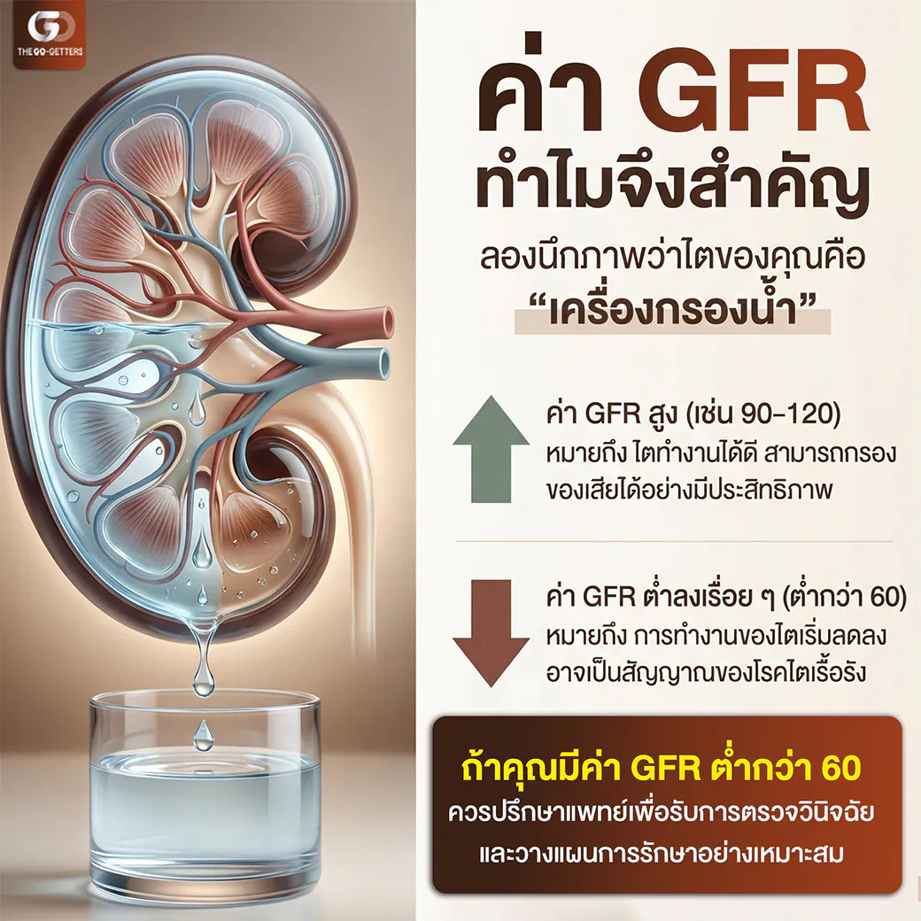 อินโฟกราฟิก ความรู้เรื่องค่า GFR เครื่องกรองน้ำของร่างกาย