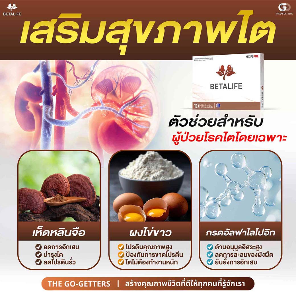 ส่วนประกอบ Betalife เบต้าไลฟ์ เห็ดหลินจือแดง ผงไข่ขาว กรดอัลฟาไลโปอิก